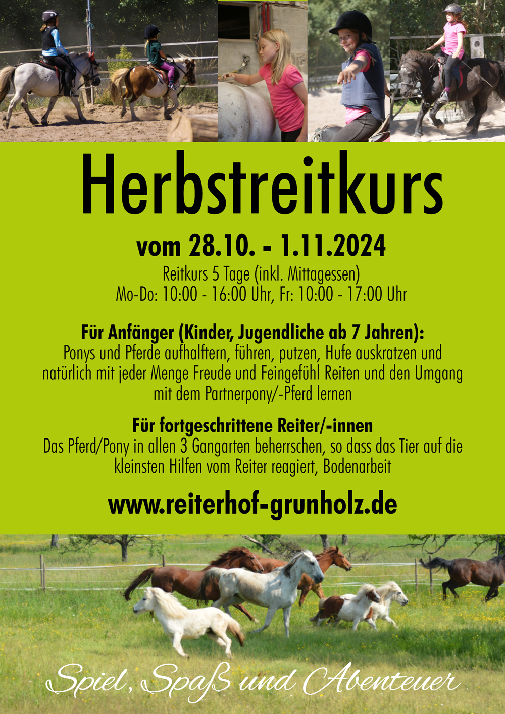 Reitkurs Herbst 2024